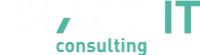 Exact IT Consulting logo