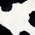 Fat Cow Media logo