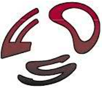 Finn & O’ Sullivan logo