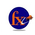 FinXL logo