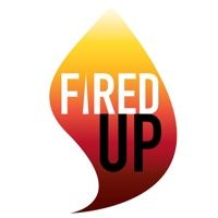 Fired Up Enterprises Inc. logo