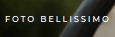 Foto BellissiMo logo