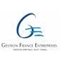 GFE - Gestion France Entreprises logo
