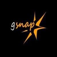 Gingersnap Design logo