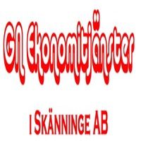 GN Ekonomitjänster logo