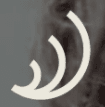 Good Eye Deer logo