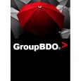 GroupBDO LLC logo
