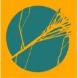 Half Cut logo