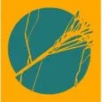 Half Cut logo