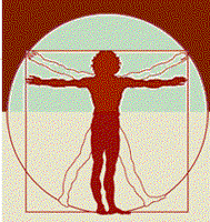 Human Factor, LLC logo