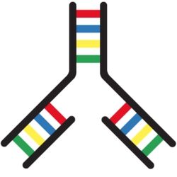 IndieBio logo