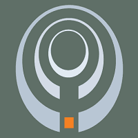 Integrated Web Strategy logo