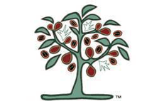 Jalima and Associates logo