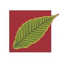 Kaizen Recruitment logo