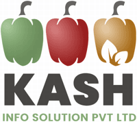 Kash Info Solution PVT LTD logo