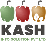 Kash Info Solution PVT LTD