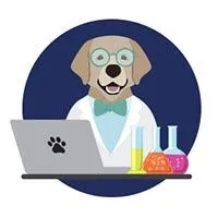 LAB Digital Creative logo