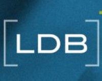 LDB Chartered Professional Accountants logo