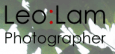 Leo Lam Studio logo