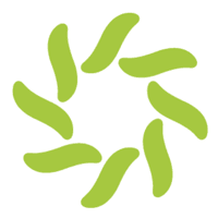 Lingoport logo