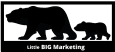 Little Big Marketing logo