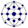 Spider Capital logo