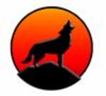 Coyote Analytics logo