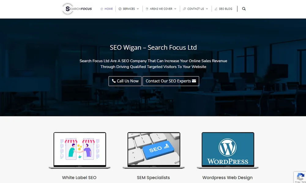 Search Focus SEO cover