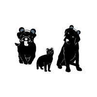 Bear Consulting logo