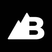 Bern Digital logo
