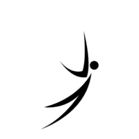 BITFLY SOLUTIONS LLC logo