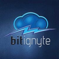 bitignyte logo