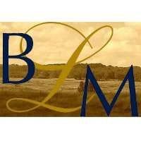 BLM Accounting Services logo