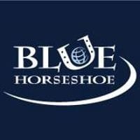 Blue Horseshoe Solutions logo