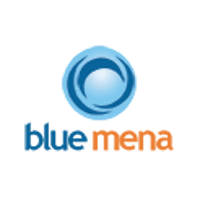 Blue Mena Group logo