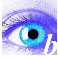 Bluefire Consulting logo