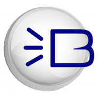 Boomient Consulting, LLC logo