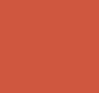 Brodmann logo