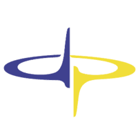 Data Perceptions Inc. logo