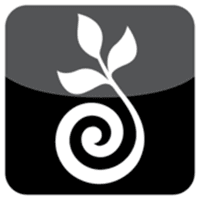 Deadly Nightshade, LLC logo