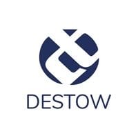 Destow Infotech logo