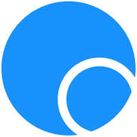 Digital Village logo