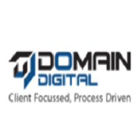 Domain Digital logo