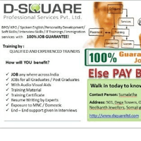 DSQUARE Professional Services logo