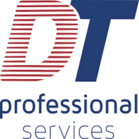 DT Professional Services, LLC logo
