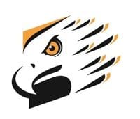 EagleEye IT logo