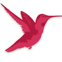EDMOND Project & Consulting logo