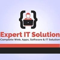 Expert IT Solutions logo