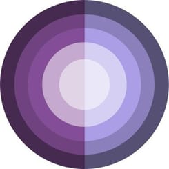 FinSight Ventures logo