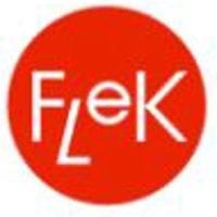 Flek Inc logo